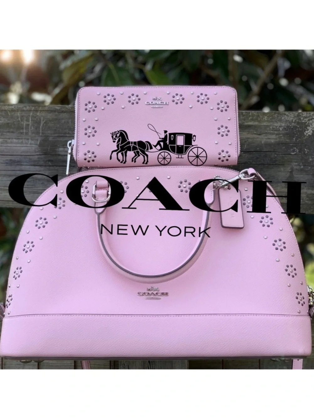 Coach 37238 Pink Rivets Studded Dome Waller and Sierra Bag